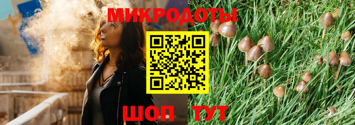 даркнет сайт  Вход с VPN  Псилоцибиновые грибы ЛСД  Муром  Галлюциногенные грибы мицелий 